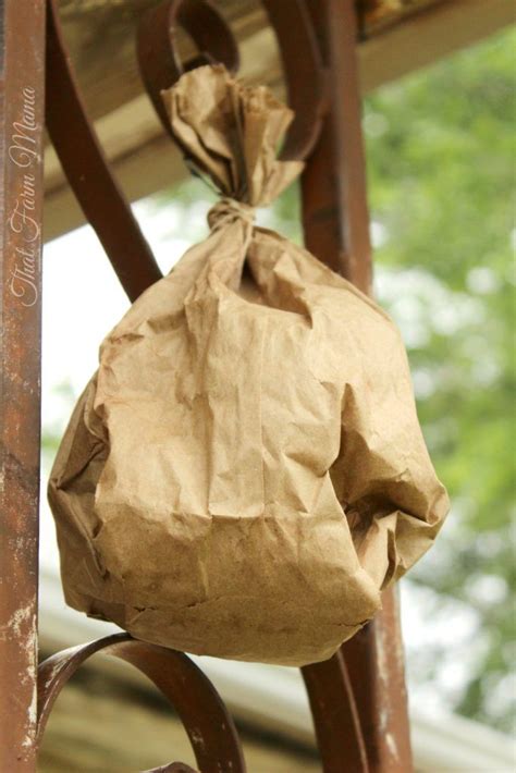 wasp deterrent paper bag